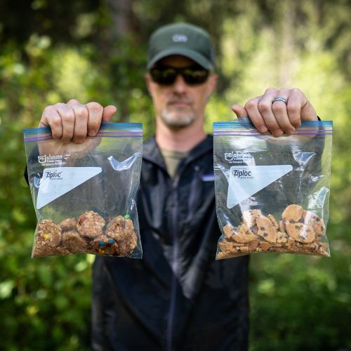 Maple Pecan Trail Cookies by Angry Pika Food Co. - Image 5