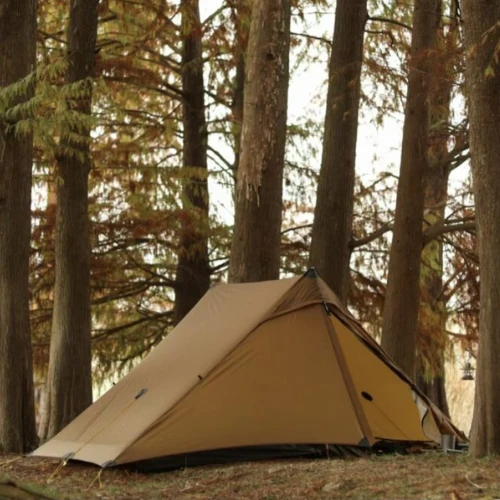Lanshan 2 Pro Tent by 3FULGEAR - Image 3