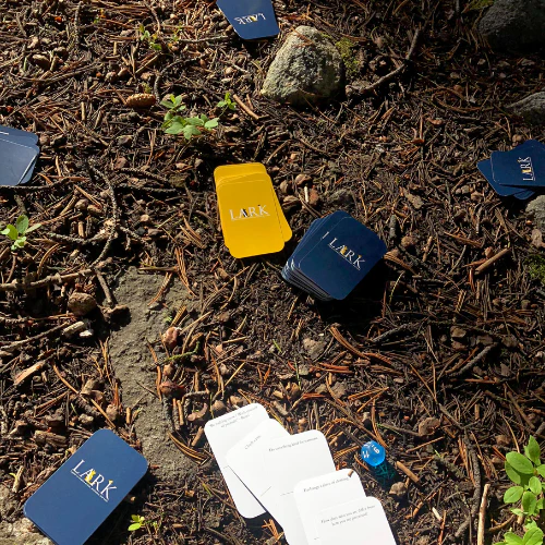 Lark, A Game of Challenge and Chance by PlayLark - Image 12