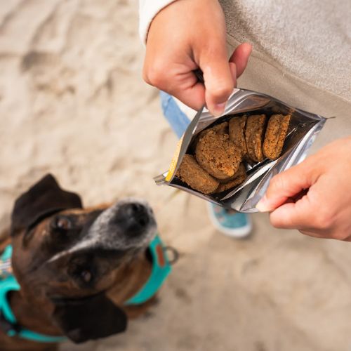 Maple Pecan Trail Cookies by Angry Pika Food Co. - Image 3
