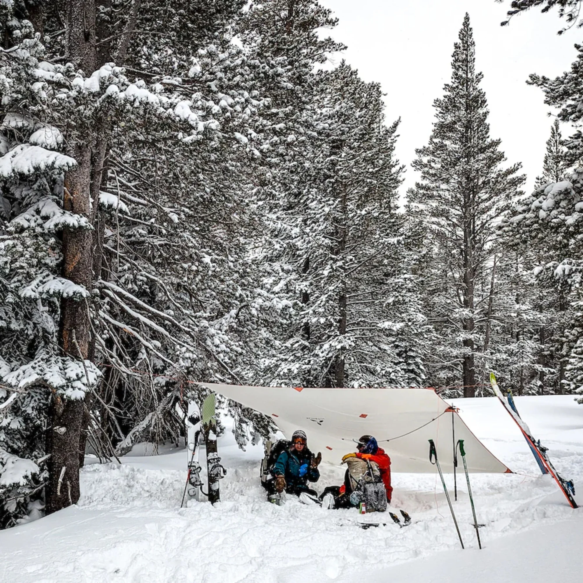 NFT Tarp by SlingFin - Image 6