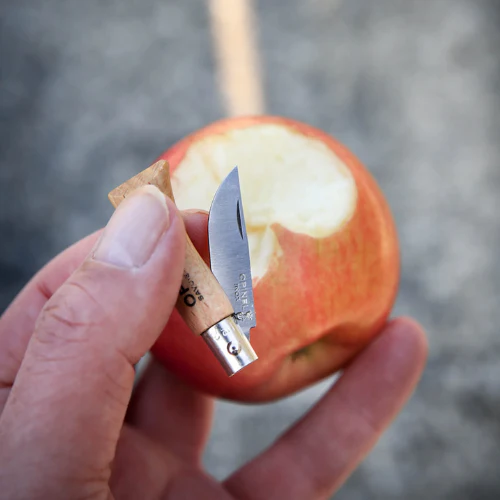 Stainless Steel Folding Knife by Opinel - Image 12