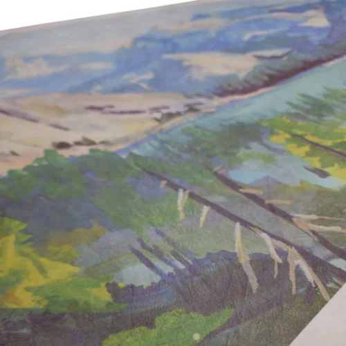 Printed Tyvek Ground Cloth by High Tail Designs - Image 3