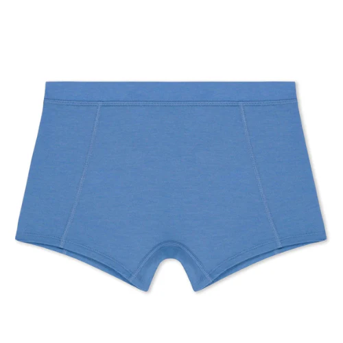 Women's Ridge Boy Shorts Underwear by Ridge Merino - Image 3